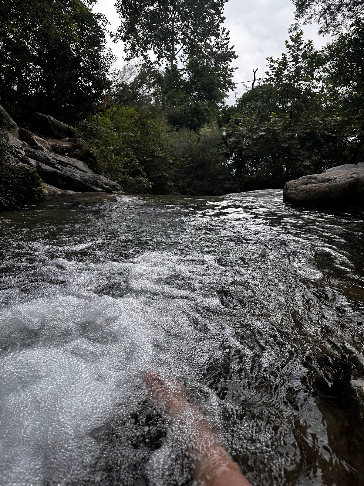 El Venedero Aguacatal
